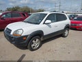 2005 Hyundai Tucson — photo 2 of 11 | VIN KM8JN72D25U146006