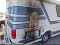 Photo 20 of 20 — 2000 Chevrolet Express 2500