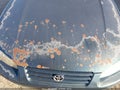 1998 Toyota Camry — photo 6 of 11 | VIN 4T1BG22K6WU853353
