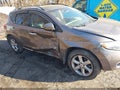 Photo 6 of 11 — 2010 Nissan Murano