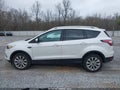 Photo 14 of 16 — 2018 Ford Escape