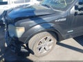 2014 Ford F-150 — photo 2 of 19 | VIN 1FTFW1CT9EFA30493