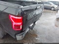 2020 Ford F-150 — photo 6 of 16 | VIN 1FTEW1CP2LKF02049