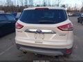Photo 16 of 16 — 2014 Ford Escape