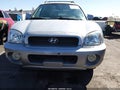 Photo 6 of 11 — 2003 Hyundai Santa Fe