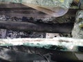 2024 Ram 2500 — photo 9 of 16 | VIN 3C6UR5DL7RG117485