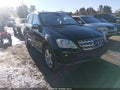 Photo 1 of 11 — 2010 Mercedes-Benz ML-Class