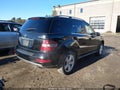 Photo 4 of 11 — 2010 Mercedes-Benz ML-Class