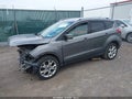2014 Ford Escape — photo 2 of 16 | VIN 1FMCU9J98EUC31128
