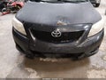 2010 Toyota Corolla — photo 6 of 13 | VIN 2T1BU4EE6AC257518