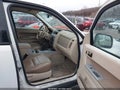 Photo 5 of 11 — 2010 Ford Escape