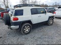 2010 Toyota FJ Cruiser — photo 4 of 11 | VIN JTEBU4BF3AK097833
