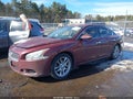 Photo 2 of 11 — 2010 Nissan Maxima