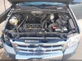 Photo 10 of 13 — 2012 Ford Escape