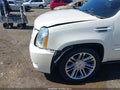 Photo 19 of 20 — 2013 Cadillac Escalade