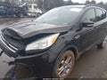 2013 Ford Escape — photo 2 of 17 | VIN 1FMCU0HXXDUC53730