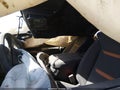 Photo 5 of 15 — 2026 GMC Sierra 3500 HD