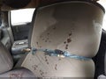 Photo 8 of 10 — 2000 Dodge Grand Caravan