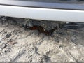 Photo 21 of 21 — 2018 Jeep Grand Cherokee
