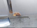 2011 Ford F-150 — photo 6 of 16 | VIN 1FTFX1ETXBFB57341
