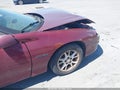 Photo 20 of 20 — 2000 Chevrolet Camaro