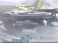 Photo 10 of 18 — 2019 Chevrolet Tahoe