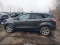Photo 15 of 17 — 2017 Ford Escape