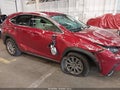 Photo 6 of 16 — 2020 Lexus NX 300