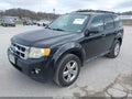 Photo 11 of 16 — 2012 Ford Escape