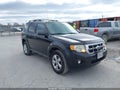 Photo 14 of 16 — 2012 Ford Escape