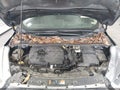 2017 Ford Escape — photo 10 of 12 | VIN 1FMCU0GD8HUB40677