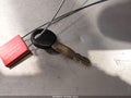 Photo 11 of 11 — 1998 Honda Civic