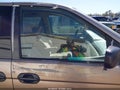 2003 Honda Odyssey — photo 16 of 17 | VIN 5FNRL18553B004250