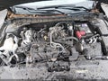 Photo 10 of 16 — 2023 Nissan Altima