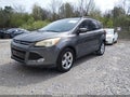 2014 Ford Escape — photo 2 of 11 | VIN 1FMCU0G95EUA50166