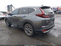 2020 Honda CR-V — photo 3 of 17 | VIN 2HKRW2H56LH684075