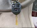 2002 Lexus ES 300 — photo 11 of 12 | VIN JTHBF30G425014204