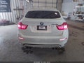 Photo 16 of 16 — 2010 BMW X6
