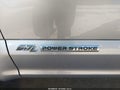 Photo 14 of 19 — 2022 Ford F-250