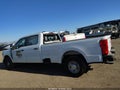 Photo 14 of 15 — 2024 Ford F-350