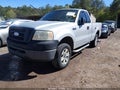 2006 Ford F-150 — photo 2 of 11 | VIN 1FTRF12236NA03187
