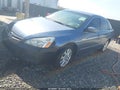 2007 Honda Accord — photo 2 of 13 | VIN 1HGCM66587A082315