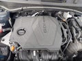 Photo 10 of 16 — 2024 Kia Sportage