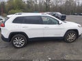 2014 Jeep Cherokee — photo 15 of 16 | VIN 1C4PJLDSXEW114942
