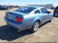 2007 Ford Mustang — photo 4 of 11 | VIN 1ZVFT80N375342211