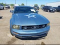 2007 Ford Mustang — photo 6 of 11 | VIN 1ZVFT80N375342211