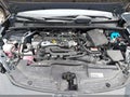 Photo 10 of 16 — 2025 Toyota Prius