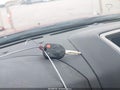 Photo 11 of 11 — 2012 Ford Escape