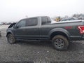 Photo 14 of 16 — 2016 Ford F-150