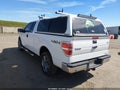 2013 Ford F-150 — photo 3 of 16 | VIN 1FTFX1EF5DKE30156